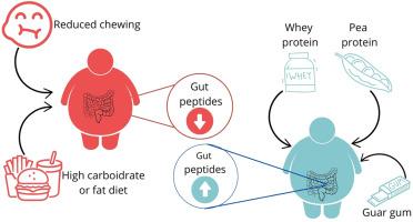 Systematic review and meta-analysis of gut peptides expression during fasting and postprandial states in individuals with obesity