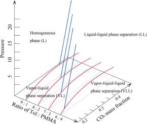 Phase behavior of the carbon dioxide/toluene/poly(methyl methacrylate) ternary system