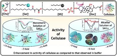 Self-assembly of choline-based surface-active ionic liquids and concentration-dependent enhancement in the enzymatic activity of cellulase in aqueous medium†