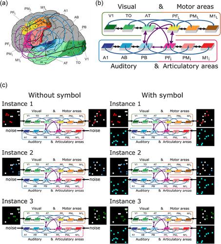 Verbal Symbols Support Concrete but Enable Abstract Concept Formation: Evidence From Brain-Constrained Deep Neural Networks