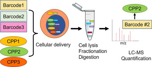 Proteomic Barcoding Platform for Macromolecular Screening and Delivery