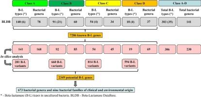 Occurrence of beta-lactamases in bacteria