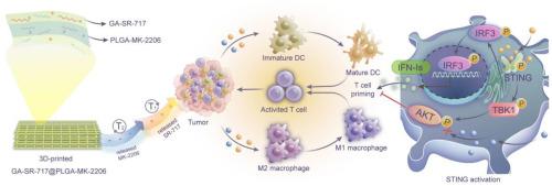 Spatiotemporal release of non-nucleotide STING agonist and AKT inhibitor from implantable 3D-printed scaffold for amplified cancer immunotherapy