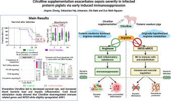 Citrulline supplementation exacerbates sepsis severity in infected preterm piglets via early induced immunosuppression