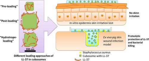 Progress in Lipid and Inorganic Nanocarriers for Enhanced Skin Drug Delivery