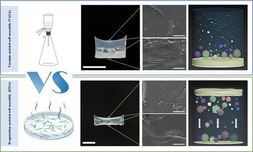 Structural, Optical, and Mechanical Insights into Cellulose Nanocrystal Chiral Nematic Film Engineering by Two Assembly Techniques