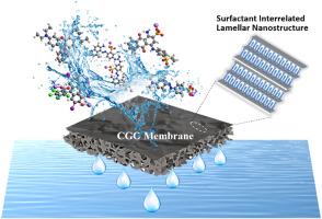 Tuning the interlayer spacing of graphene oxide membrane via surfactant intercalation for ultrafast nanofiltration