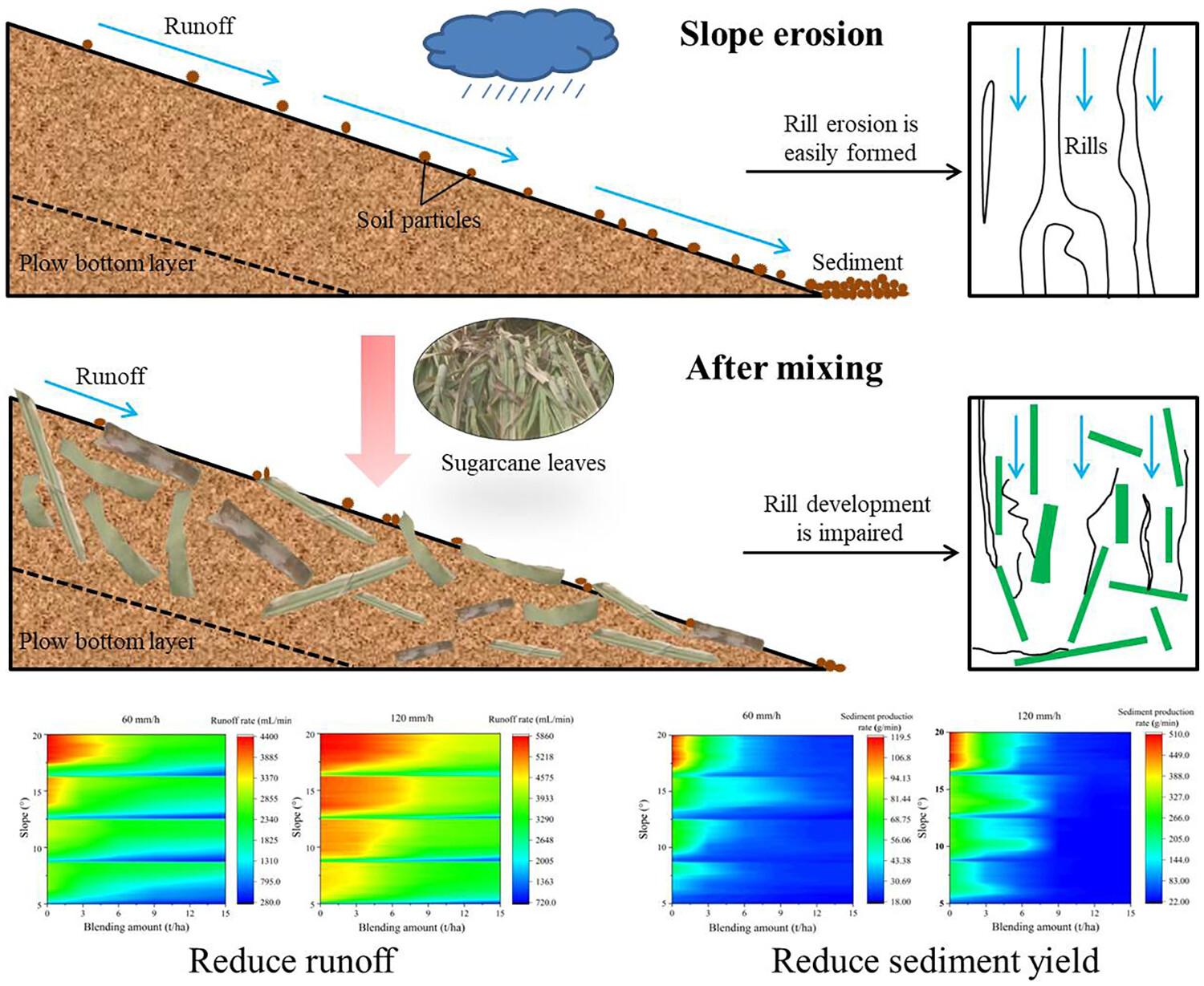 Sugarcane leaf return and mixing significantly reduce slope runoff and soil loss