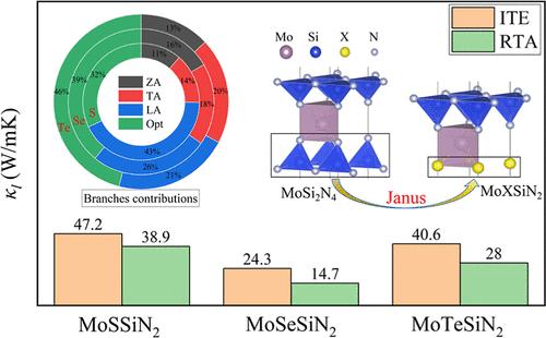 Thermal Transport Properties of Two-Dimensional Janus MoXSiN2 (X = S, Se, and Te)