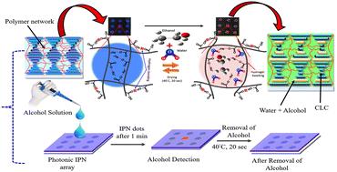 Unveiling the potential of polymer cholesteric liquid crystal interpenetrating networks as a label-free alcohol biochemical sensor†