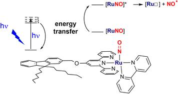 Ruthenium nitrosyl complexes with NO release capability: the use of fluorene as an antenna†