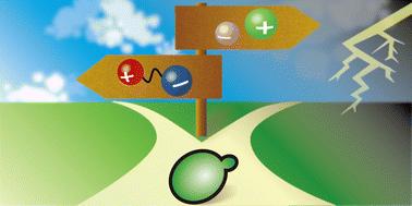 Bioethanol fermentation in the presence of ionic liquids: mini review
