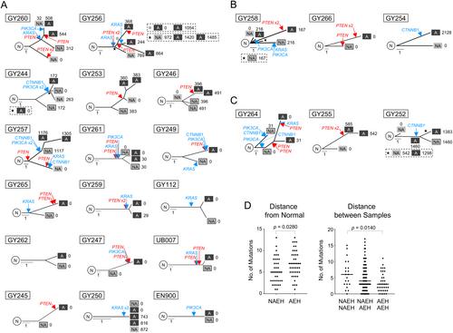 Genetic and epigenetic alterations in precursor lesions of endometrial endometrioid carcinoma