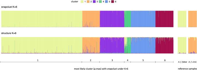 Ecological divergence despite common mating sites: Genotypes and symbiotypes shed light on cryptic diversity in the black bean aphid species complex