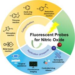 Comprehensive insights into fluorescent probes for the determination nitric oxide for diseases diagnosis