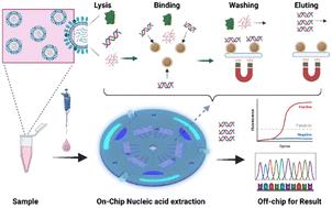 Multiple on-line active valves based centrifugal microfluidics for dynamic solid-phase enrichment and purification of viral nucleic acid†