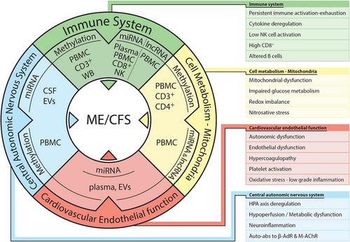 Epigenetic reprograming in myalgic encephalomyelitis/chronic fatigue syndrome: A narrative of latent viruses