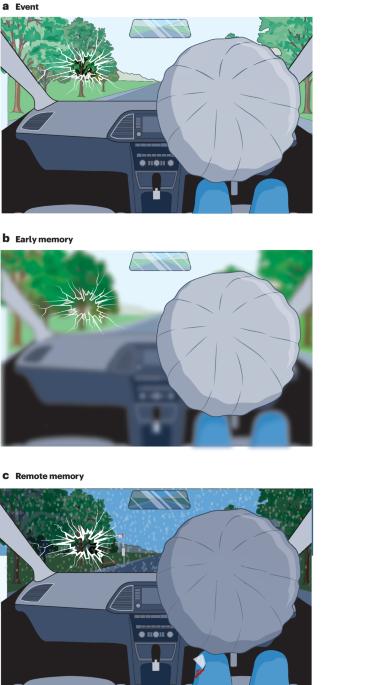 Stability and malleability of emotional autobiographical memories