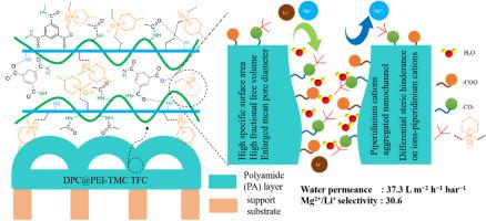 Piperidinium-incorporated fabrication of high-performance polyamide nanofiltration membrane with high free volume for magnesium/lithium separation