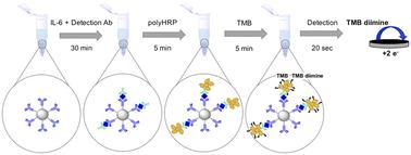 Electrochemical immunomagnetic assay for interleukin-6 detection in human plasma