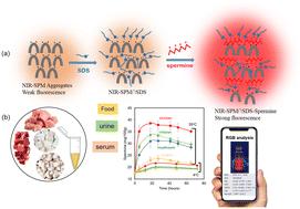 Red and NIR active dipod–SDS self-assemblies for “turn on” quantification of spermine in serum, urine and food: smart-phone assisted on-site determination of spermine in amine-rich foods†