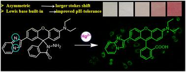 An imidazo[1,2-a]pyridine-functionalized xanthene fluorescent probe for naked-eye detection of Hg2+ and its application in cell imaging and test strips†