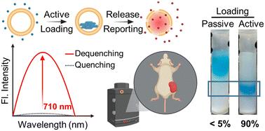 Active loading of cyanine 5.5 derivatives into liposomes for deep self-quenching and their applications in deep tissue imaging†