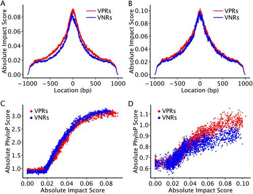 Validated Negative Regions (VNRs) in the VISTA Database might be Truncated Forms of Bona Fide Enhancers