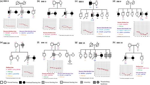 Unraveling the Genetic Basis of Combined Deafness and Male Infertility Phenotypes through High-Throughput Sequencing in a Unique Cohort from South India