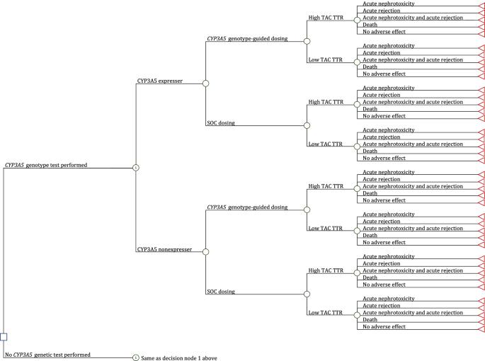 Cost-effectiveness analysis of CYP3A5 genotype-guided tacrolimus dosing in solid organ transplantation using real-world data