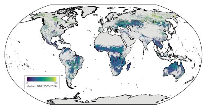 Molecular insights and impacts of wildfire-induced soil chemical changes