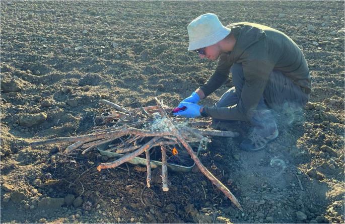 Using pyrocosms to determine fire impacts on soil molecules