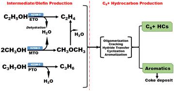 Performance evaluation of a newly developed transition metal-doped HZSM-5 zeolite catalyst for single-step conversion of C1–C3 alcohols to fuel-range hydrocarbons†