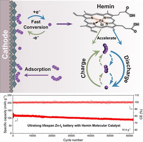 Molecular Catalysis Enables Fast Polyiodide Conversion for Exceptionally Long-Life Zinc–Iodine Batteries