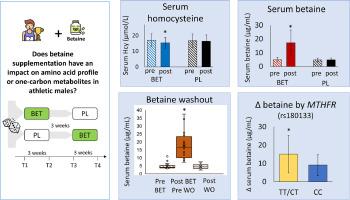 Betaine supplementation modulates betaine concentration by methylenetetrahydrofolate reductase genotype, but has no effect on amino acid profile in healthy active males: A randomized placebo-controlled cross-over study