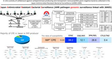 In vitro activity of cefiderocol against carbapenemase-producing and meropenem-non-susceptible Gram-negative bacteria collected in the Japan Antimicrobial Resistant Bacterial Surveillance