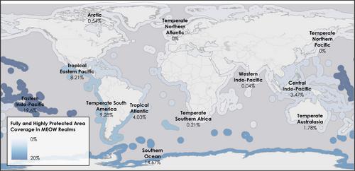 Ocean protection quality is lagging behind quantity: Applying a scientific framework to assess real marine protected area progress against the 30 by 30 target