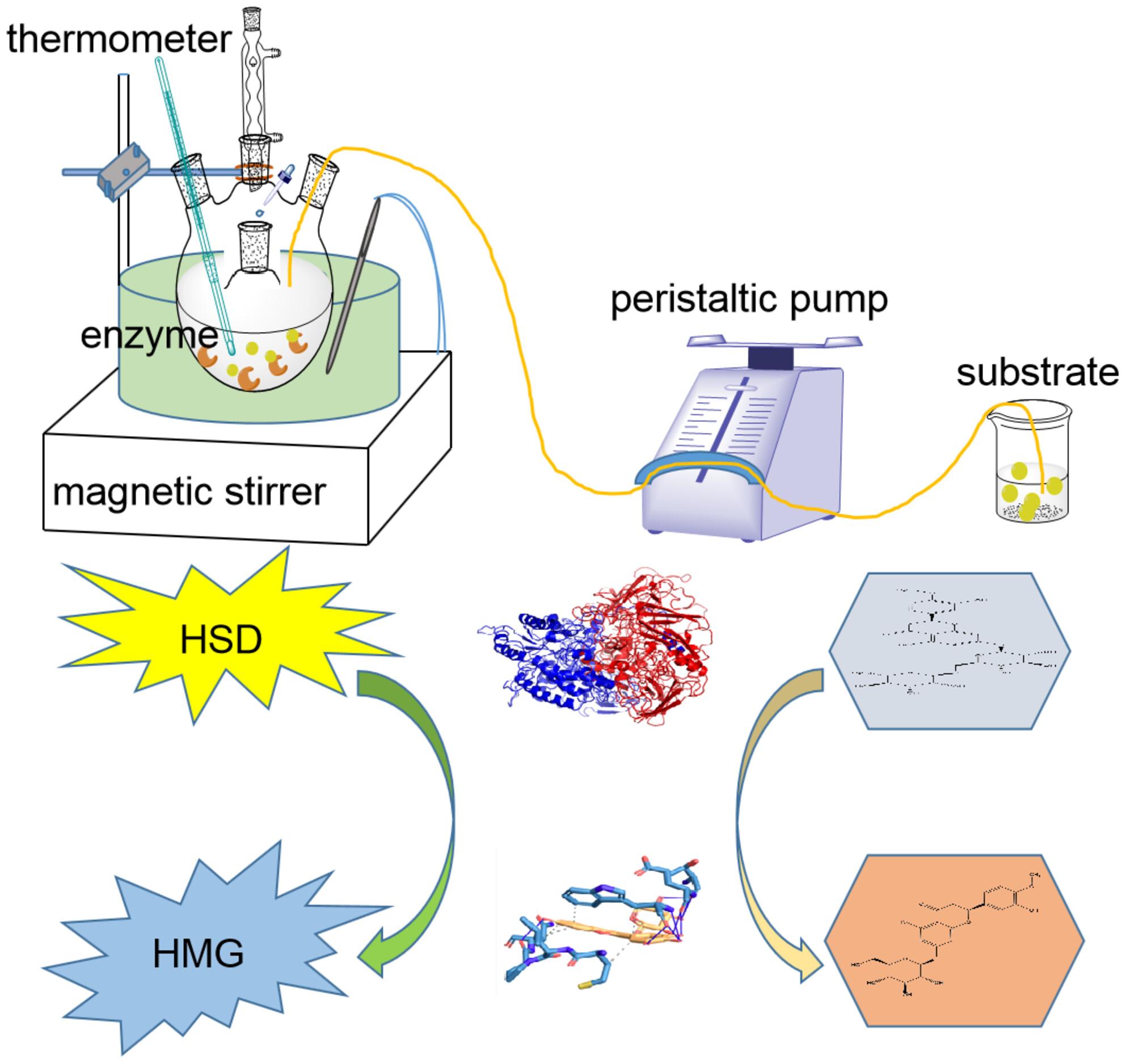 An alkali substrate feeding engineering conversion platform for hesperetin 7-O-glucoside biosynthesis