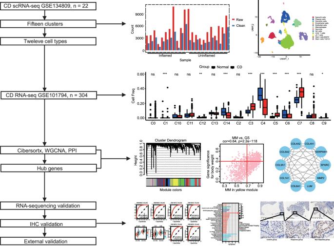 Integrated analyses reveal the diagnostic and predictive values of COL5A2 and association with immune environment in Crohn’s disease