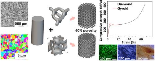 Mimicking the mechanical properties of cortical bone with an additively manufactured biodegradable Zn-3Mg alloy