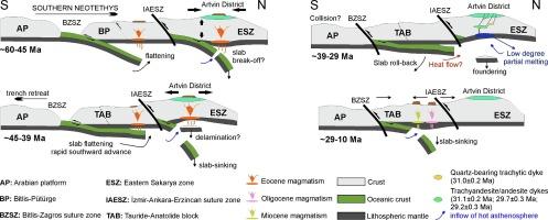 Oligocene magmatism in the eastern Sakarya Zone, NE Turkey: Geodynamic implications