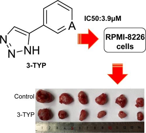 The Selective SIRT3 Inhibitor 3-TYP Represses Primary Myeloma Growth by Reducing c-Myc Stability