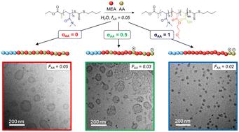 Effect of pH on the incorporation of acrylic acid units in the core of polymer nanoparticles prepared by PISA and on their morphology†