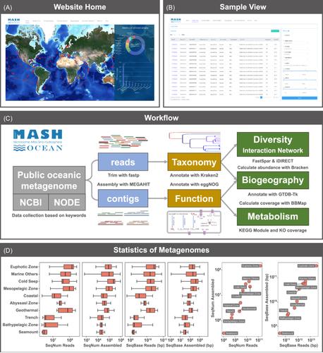 MASH-Ocean 1.0: Interactive platform for investigating microbial diversity, function, and biogeography with marine metagenomic data