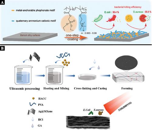 Quaternary Ammonium Compounds and Their Composites in Antimicrobial Applications