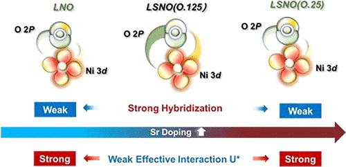 Tunable Collective Excitations in Epitaxial Perovskite Nickelates