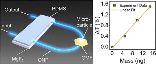 Optical Nanofiber-Enabled Self-Detection Picobalance