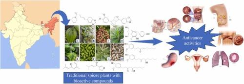 Traditional wisdom in modern medicine: unveiling the anticancer efficacy of Northeastern Indian spices