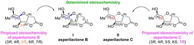 First total synthesis of asperilactone B. Revision of absolute stereochemistry of asperilactones B and C†