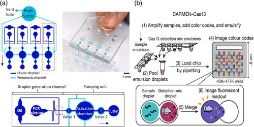 Droplet microfluidics for single-molecule and single-cell analysis in research, diagnosis, and therapy